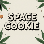 Illustration guide recette space cookie maison